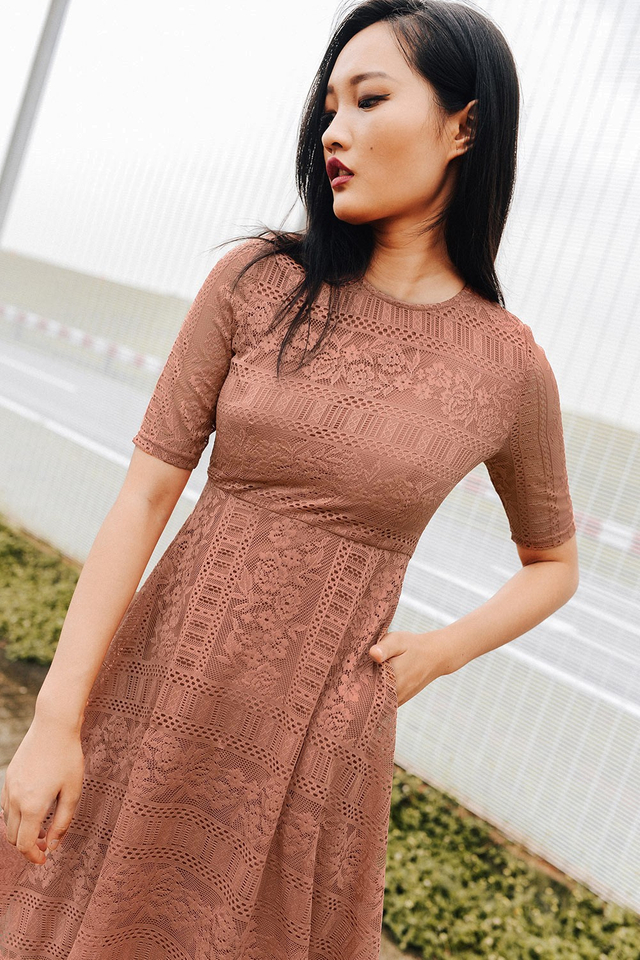 ANDROS LACE DRESS IN DUSK ROSE